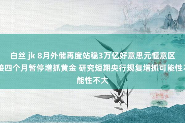 白丝 jk 8月外储再度站稳3万亿好意思元惬意区 联接四个月暂停增抓黄金 研究短期央行规复增抓可能性