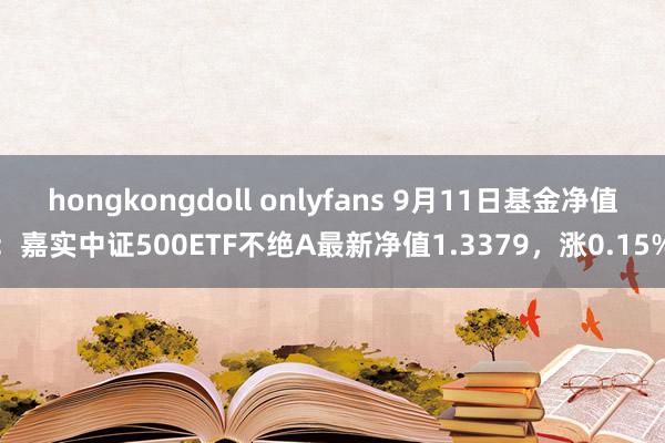 hongkongdoll onlyfans 9月11日基金净值:嘉实中证500ETF不绝A最新净值1.3379,涨0.15%
