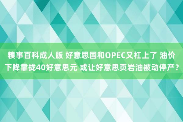 糗事百科成人版 好意思国和OPEC又杠上了 油价下降靠拢40好意思元 或让好意思页岩油被动停产？