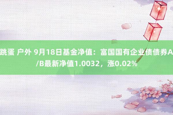 跳蛋 户外 9月18日基金净值：富国国有企业债债券A/B最新净值1.0032，涨0.02%