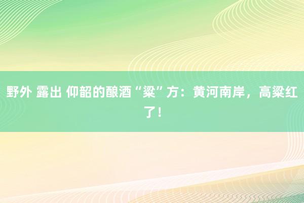 野外 露出 仰韶的酿酒“粱”方：黄河南岸，高粱红了！