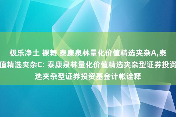 极乐净土 裸舞 泰康泉林量化价值精选夹杂A,泰康泉林量化价值精选夹杂C: 泰康泉林量化价值精选夹杂型