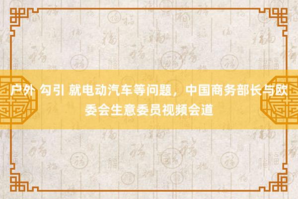 户外 勾引 就电动汽车等问题,中国商务部长与欧委会生意委员视频会道