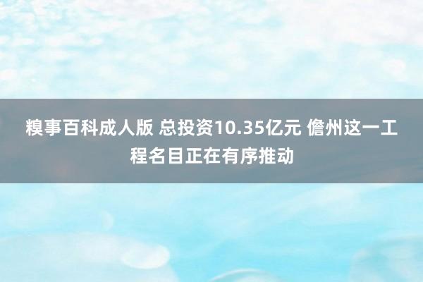 糗事百科成人版 总投资10.35亿元 儋州这一工程名目正在有序推动