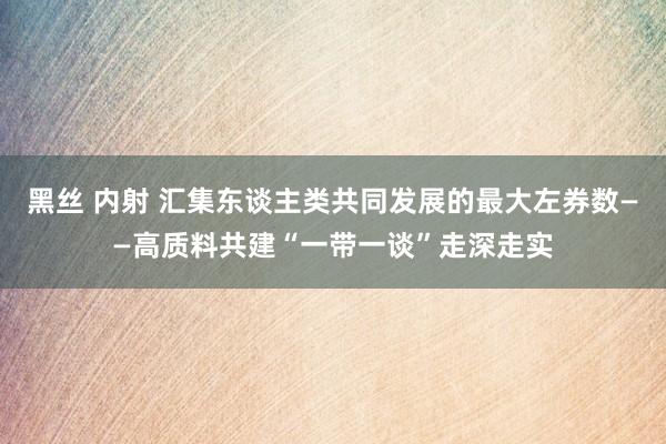 黑丝 内射 汇集东谈主类共同发展的最大左券数——高质料共建“一带一谈”走深走实