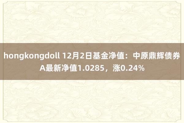 hongkongdoll 12月2日基金净值：中原鼎辉债券A最新净值1.0285，涨0.24%