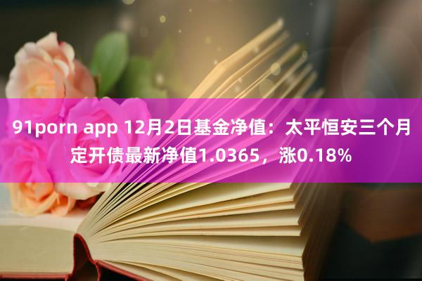 91porn app 12月2日基金净值：太平恒安三个月定开债最新净值1.0365，涨0.18%