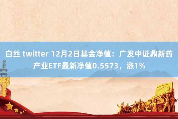 白丝 twitter 12月2日基金净值:广发中证鼎新药产业ETF最新净值0.5573,涨1%