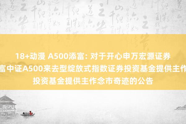 18+动漫 A500添富: 对于开心申万宏源证券有限公司为汇添富中证A500来去型绽放式指数证券投资