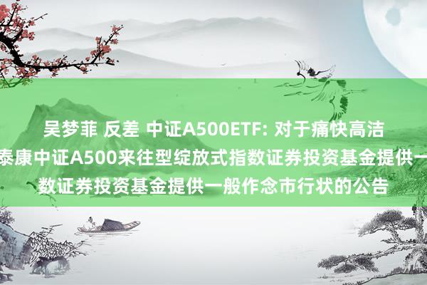 吴梦菲 反差 中证A500ETF: 对于痛快高洁证券股份有限公司为泰康中证A500来往型绽放式指数证