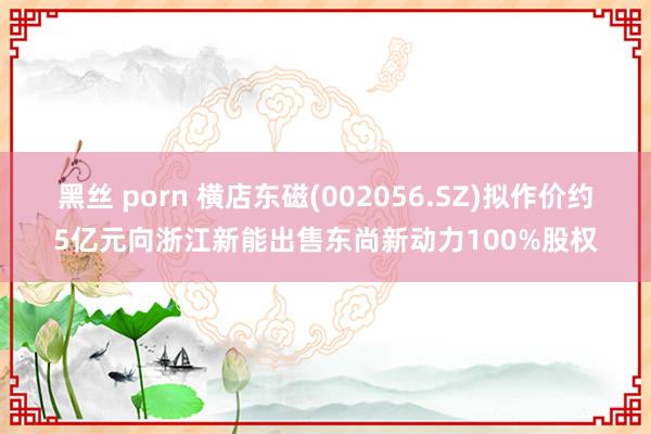黑丝 porn 横店东磁(002056.SZ)拟作价约5亿元向浙江新能出售东尚新动力100%股权