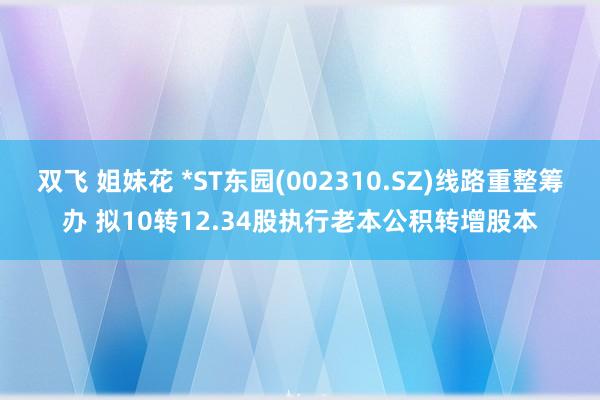 双飞 姐妹花 *ST东园(002310.SZ)线路重整筹办 拟10转12.34股执行老本公积转增股本