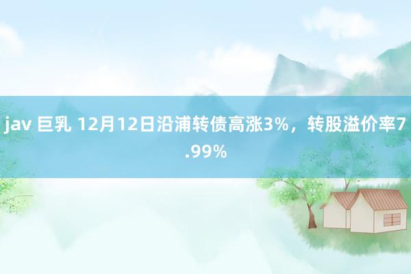 jav 巨乳 12月12日沿浦转债高涨3%，转股溢价率7.99%