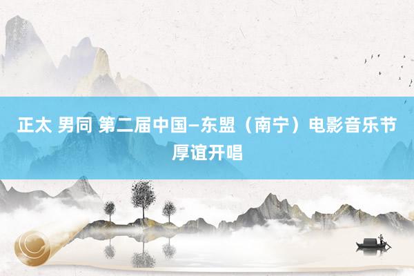 正太 男同 第二届中国—东盟（南宁）电影音乐节厚谊开唱