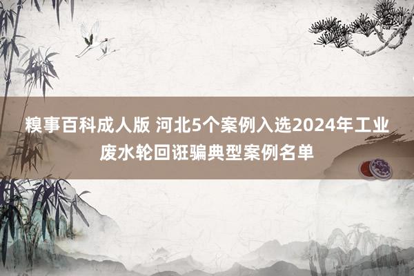 糗事百科成人版 河北5个案例入选2024年工业废水轮回诳骗典型案例名单
