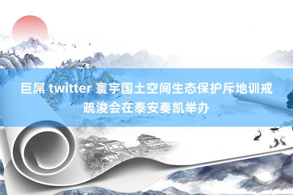 巨屌 twitter 寰宇国土空间生态保护斥地训戒疏浚会在泰安奏凯举办