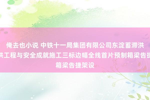 俺去也小说 中铁十一局集团有限公司东淀蓄滞洪区防洪工程与安全成就施工三标边幅全线首片预制箱梁告捷架设