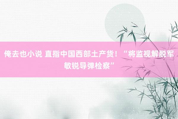 俺去也小说 直指中国西部土产货！“将监视解脱军敏锐导弹检察”