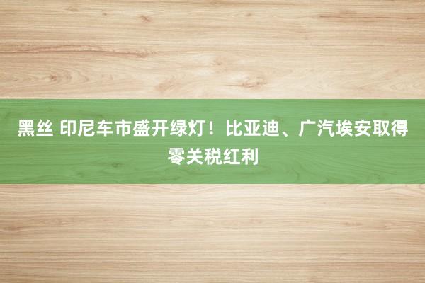 黑丝 印尼车市盛开绿灯！比亚迪、广汽埃安取得零关税红利
