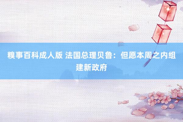 糗事百科成人版 法国总理贝鲁：但愿本周之内组建新政府