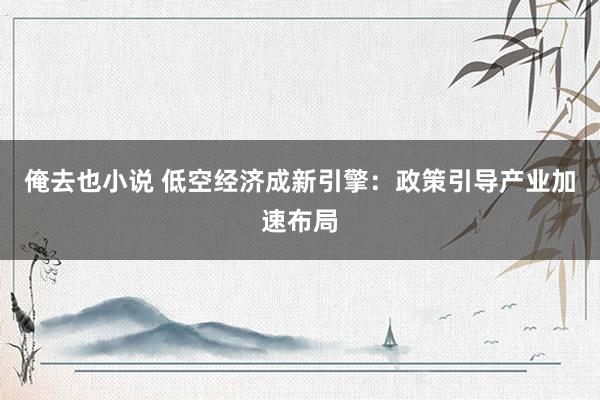 俺去也小说 低空经济成新引擎：政策引导产业加速布局