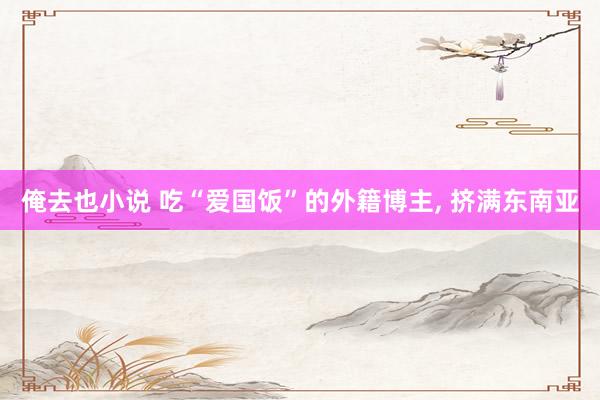 俺去也小说 吃“爱国饭”的外籍博主, 挤满东南亚