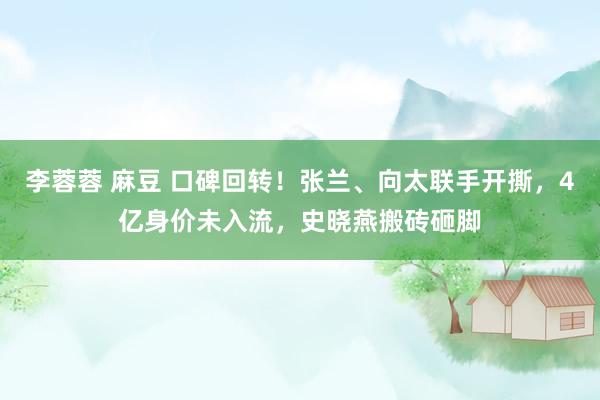 李蓉蓉 麻豆 口碑回转！张兰、向太联手开撕，4亿身价未入流，史晓燕搬砖砸脚