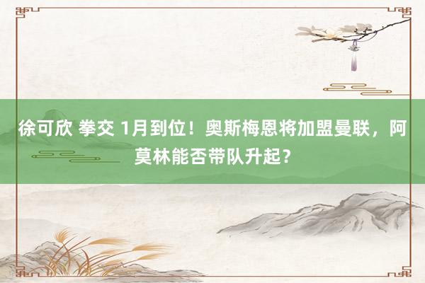 徐可欣 拳交 1月到位！奥斯梅恩将加盟曼联，阿莫林能否带队升起？