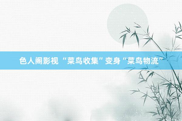 色人阁影视 “菜鸟收集”变身“菜鸟物流”