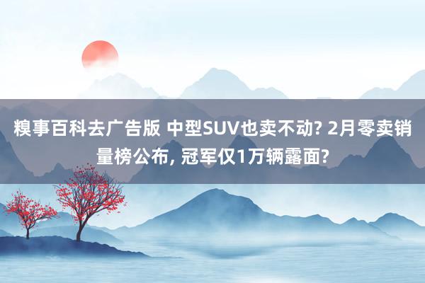 糗事百科去广告版 中型SUV也卖不动? 2月零卖销量榜公布, 冠军仅1万辆露面?