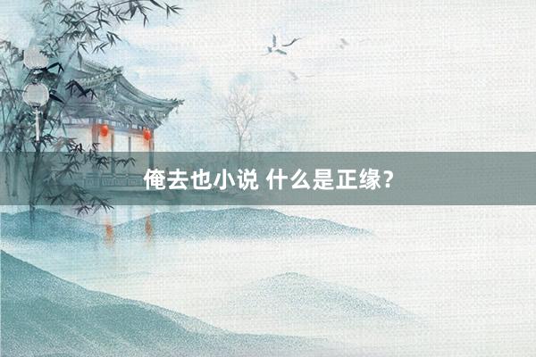 俺去也小说 什么是正缘？