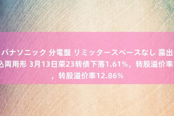 パナソニック 分電盤 リミッタースペースなし 露出・半埋込両用形 3月13日荣23转债下落1.61%