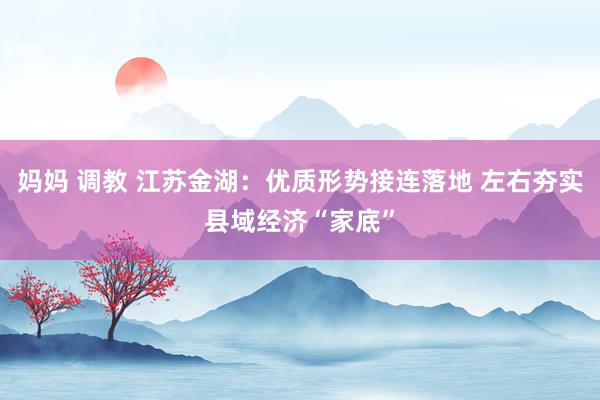妈妈 调教 江苏金湖：优质形势接连落地 左右夯实县域经济“家底”