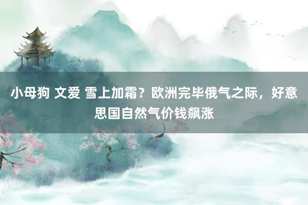 小母狗 文爱 雪上加霜？欧洲完毕俄气之际，好意思国自然气价钱飙涨