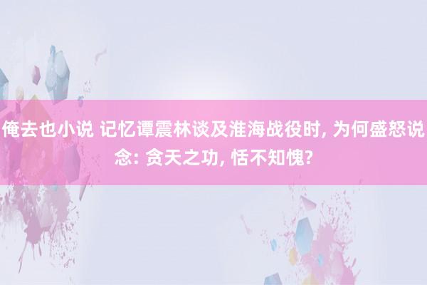 俺去也小说 记忆谭震林谈及淮海战役时, 为何盛怒说念: 贪天之功, 恬不知愧?