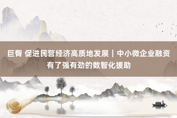 巨臀 促进民营经济高质地发展|中小微企业融资有了强有劲的数智化援助