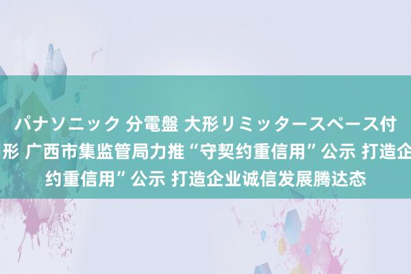 パナソニック 分電盤 大形リミッタースペース付 露出・半埋込両用形 广西市集监管局力推“守契约重信用