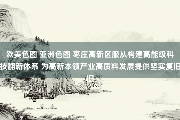 欧美色图 亚洲色图 枣庄高新区服从构建高能级科技翻新体系 为高新本领产业高质料发展提供坚实复旧