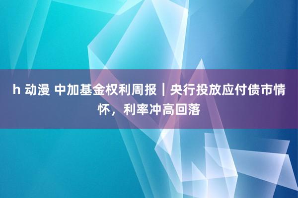 h 动漫 中加基金权利周报︱央行投放应付债市情怀，利率冲高回落