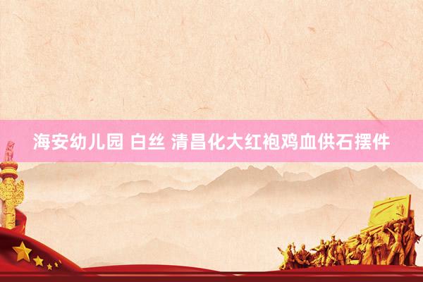海安幼儿园 白丝 清昌化大红袍鸡血供石摆件