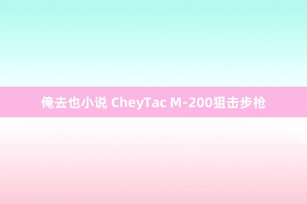 俺去也小说 CheyTac M-200狙击步枪