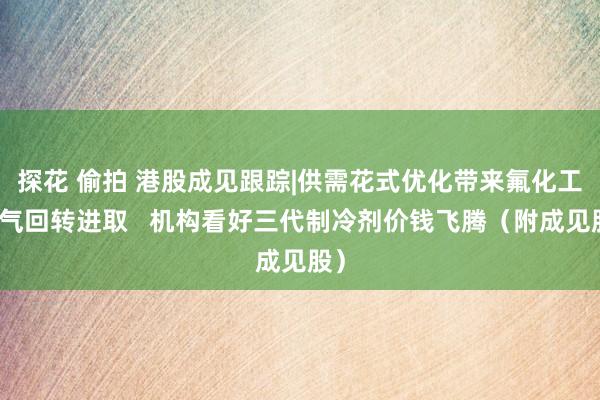 探花 偷拍 港股成见跟踪|供需花式优化带来氟化工景气回转进取   机构看好三代制冷剂价钱飞腾（附成见