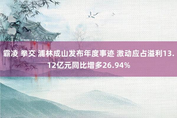 霸凌 拳交 浦林成山发布年度事迹 激动应占溢利13.12亿元同比增多26.94%