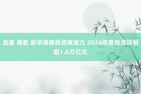 反差 调教 新华保障投资端发力 2024年度投资限制超1.6万亿元