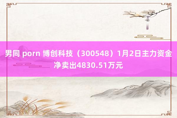 男同 porn 博创科技（300548）1月2日主力资金净卖出4830.51万元