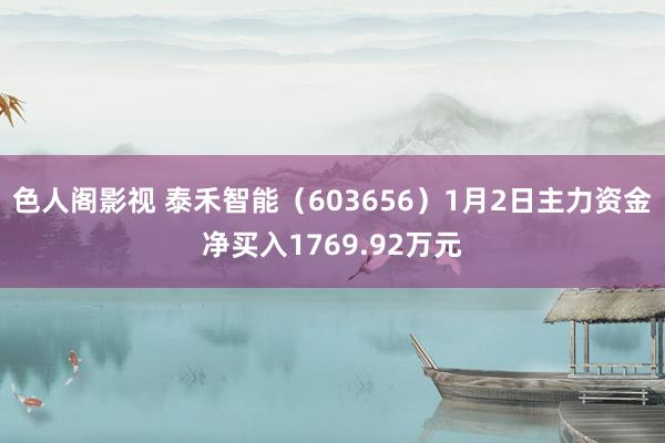 色人阁影视 泰禾智能（603656）1月2日主力资金净买入1769.92万元