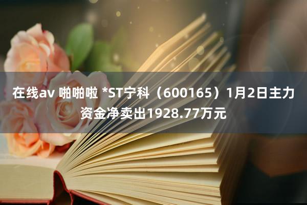 在线av 啪啪啦 *ST宁科（600165）1月2日主力资金净卖出1928.77万元