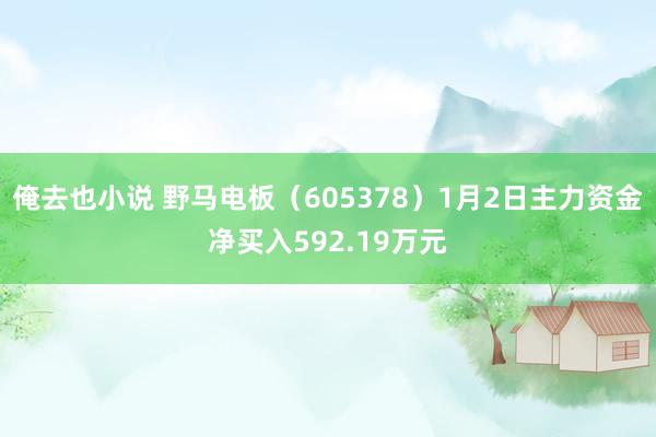 俺去也小说 野马电板（605378）1月2日主力资金净买入592.19万元