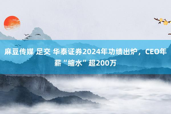 麻豆传媒 足交 华泰证券2024年功绩出炉，CEO年薪“缩水”超200万