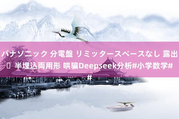 パナソニック 分電盤 リミッタースペースなし 露出・半埋込両用形 哄骗Deepseek分析#小学数学